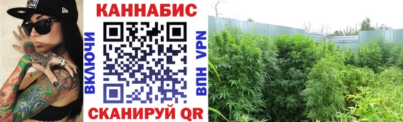 Что такое Лысьва кракен вход  АМФ  ГАШИШ  Alpha-PVP  Канабис  МЕФ  Cocaine 