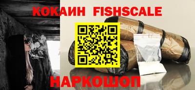 шишки Камышлов