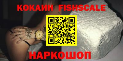 шишки Камышлов