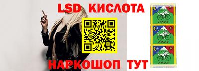 шишки Камышлов