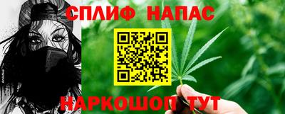 шишки Камышлов