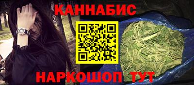 шишки Камышлов