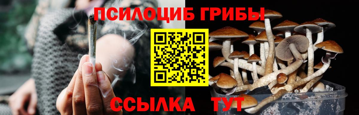 Псилоцибиновые грибы мухоморы Лысьва